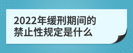 2022年缓刑期间的禁止性规定是什么