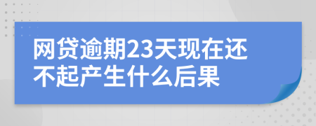 网贷逾期23天现在还不起产生什么后果