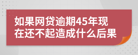 如果网贷逾期45年现在还不起造成什么后果