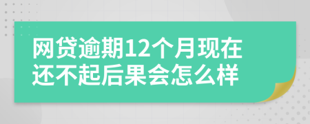 网贷逾期12个月现在还不起后果会怎么样