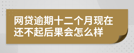 网贷逾期十二个月现在还不起后果会怎么样