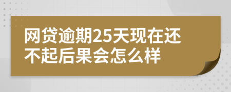 网贷逾期25天现在还不起后果会怎么样