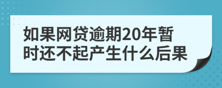 如果网贷逾期20年暂时还不起产生什么后果