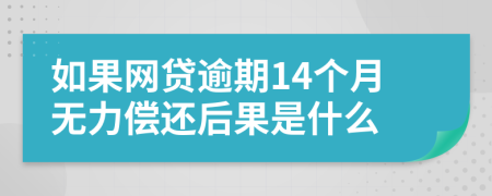 如果网贷逾期14个月无力偿还后果是什么