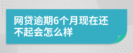 网贷逾期6个月现在还不起会怎么样