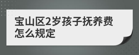 宝山区2岁孩子抚养费怎么规定