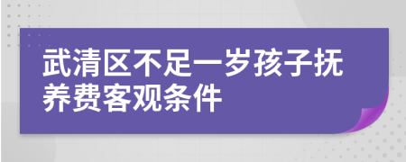 武清区不足一岁孩子抚养费客观条件