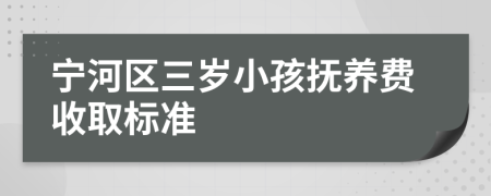 宁河区三岁小孩抚养费收取标准