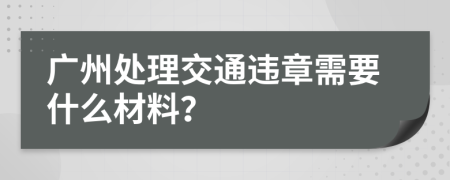 广州处理交通违章需要什么材料？