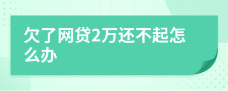 欠了网贷2万还不起怎么办