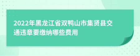 2022年黑龙江省双鸭山市集贤县交通违章要缴纳哪些费用