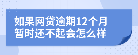 如果网贷逾期12个月暂时还不起会怎么样