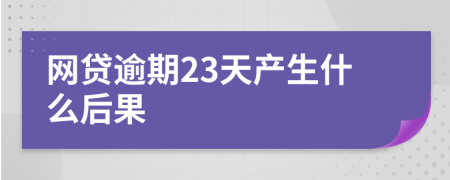 网贷逾期23天产生什么后果