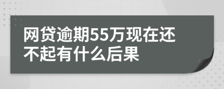 网贷逾期55万现在还不起有什么后果
