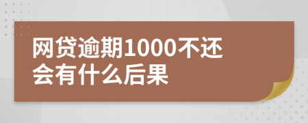 网贷逾期1000不还会有什么后果