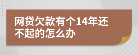 网贷欠款有个14年还不起的怎么办