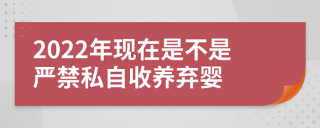 2022年现在是不是严禁私自收养弃婴