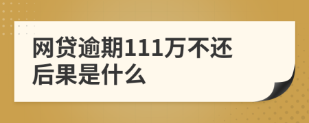 网贷逾期111万不还后果是什么