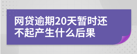 网贷逾期20天暂时还不起产生什么后果