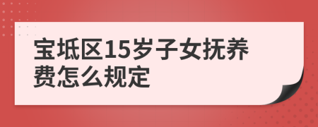 宝坻区15岁子女抚养费怎么规定