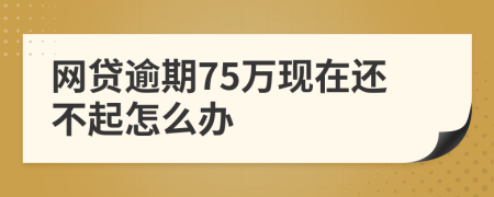 网贷逾期75万现在还不起怎么办