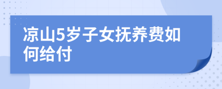 凉山5岁子女抚养费如何给付