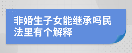 非婚生子女能继承吗民法里有个解释