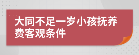 大同不足一岁小孩抚养费客观条件