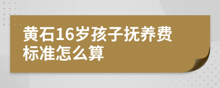 黄石16岁孩子抚养费标准怎么算