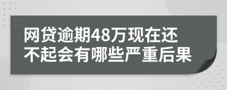 网贷逾期48万现在还不起会有哪些严重后果