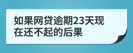 如果网贷逾期23天现在还不起的后果