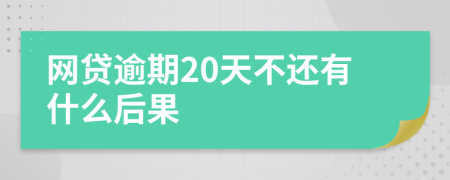 网贷逾期20天不还有什么后果