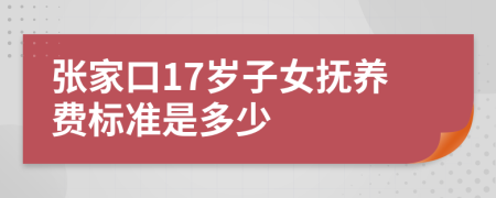 张家口17岁子女抚养费标准是多少