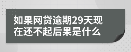 如果网贷逾期29天现在还不起后果是什么