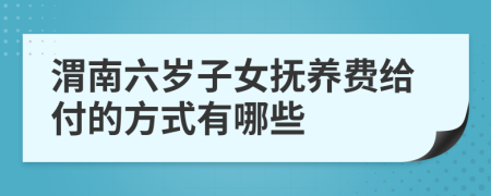 渭南六岁子女抚养费给付的方式有哪些