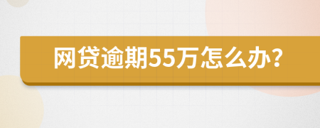 网贷逾期55万怎么办？