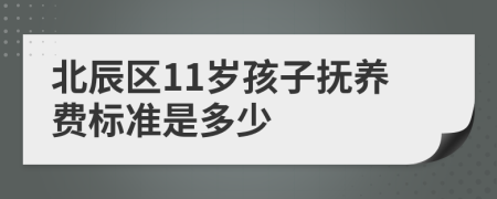 北辰区11岁孩子抚养费标准是多少