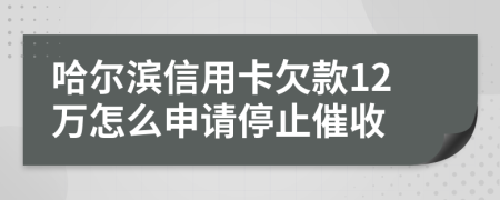 哈尔滨信用卡欠款12万怎么申请停止催收