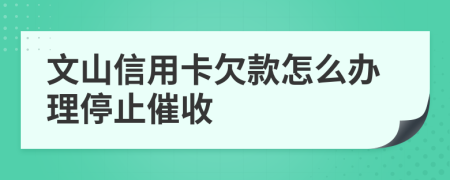 文山信用卡欠款怎么办理停止催收