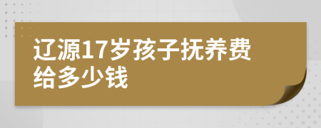 辽源17岁孩子抚养费给多少钱