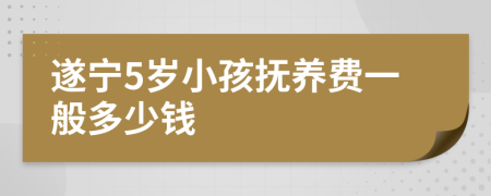 遂宁5岁小孩抚养费一般多少钱