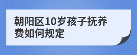 朝阳区10岁孩子抚养费如何规定