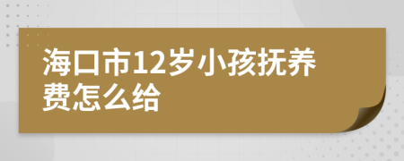 海口市12岁小孩抚养费怎么给