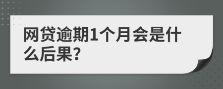 网贷逾期1个月会是什么后果？