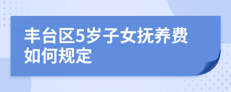 丰台区5岁子女抚养费如何规定