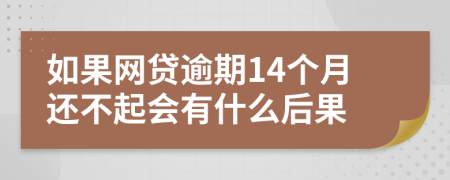 如果网贷逾期14个月还不起会有什么后果