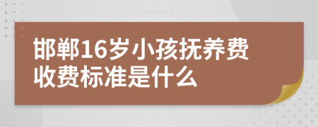 邯郸16岁小孩抚养费收费标准是什么
