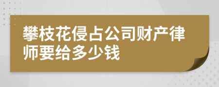 攀枝花侵占公司财产律师要给多少钱