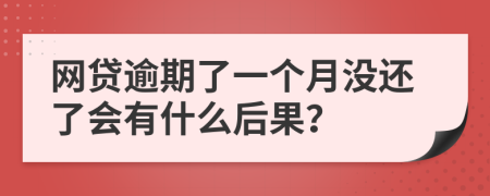 网贷逾期了一个月没还了会有什么后果？