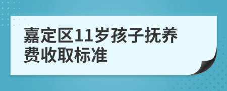 嘉定区11岁孩子抚养费收取标准